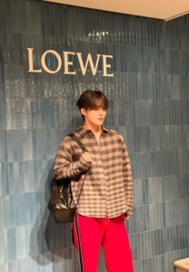 S.Coups Seventeen-005-Perfect